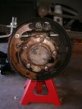 Photo Gallery 21 Photo