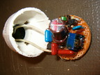 CFL ballast removed, showing socket wiring.