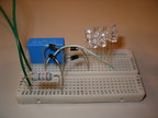 Testing the power supply on breadboard.
